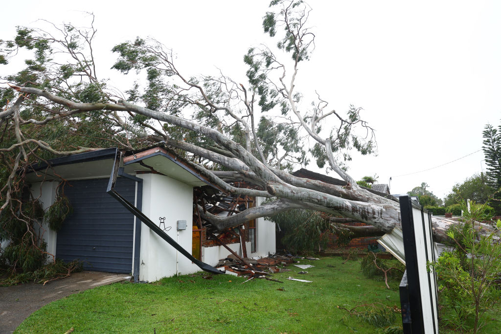 A tree uprooted by the storm crashed down on this house in Elanora on the Gold Coast. Photo:...