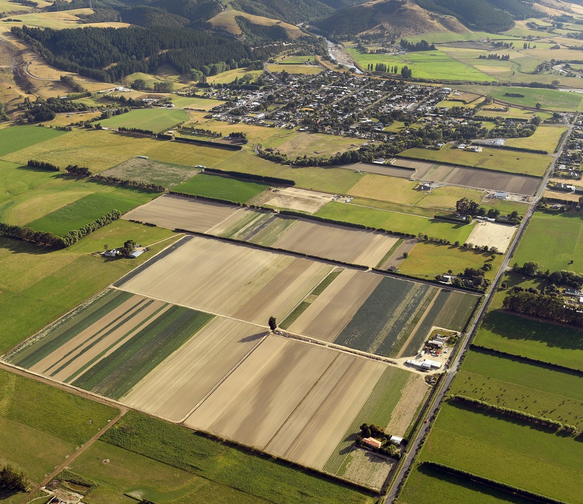 Market gardening patterns the Taieri in this file photo. Photo: Stephen Jaquiery