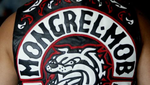 Teen Mongrel Mob member Tana Ormsby-Turner was jailed for his involvement in the murder of an Uru...