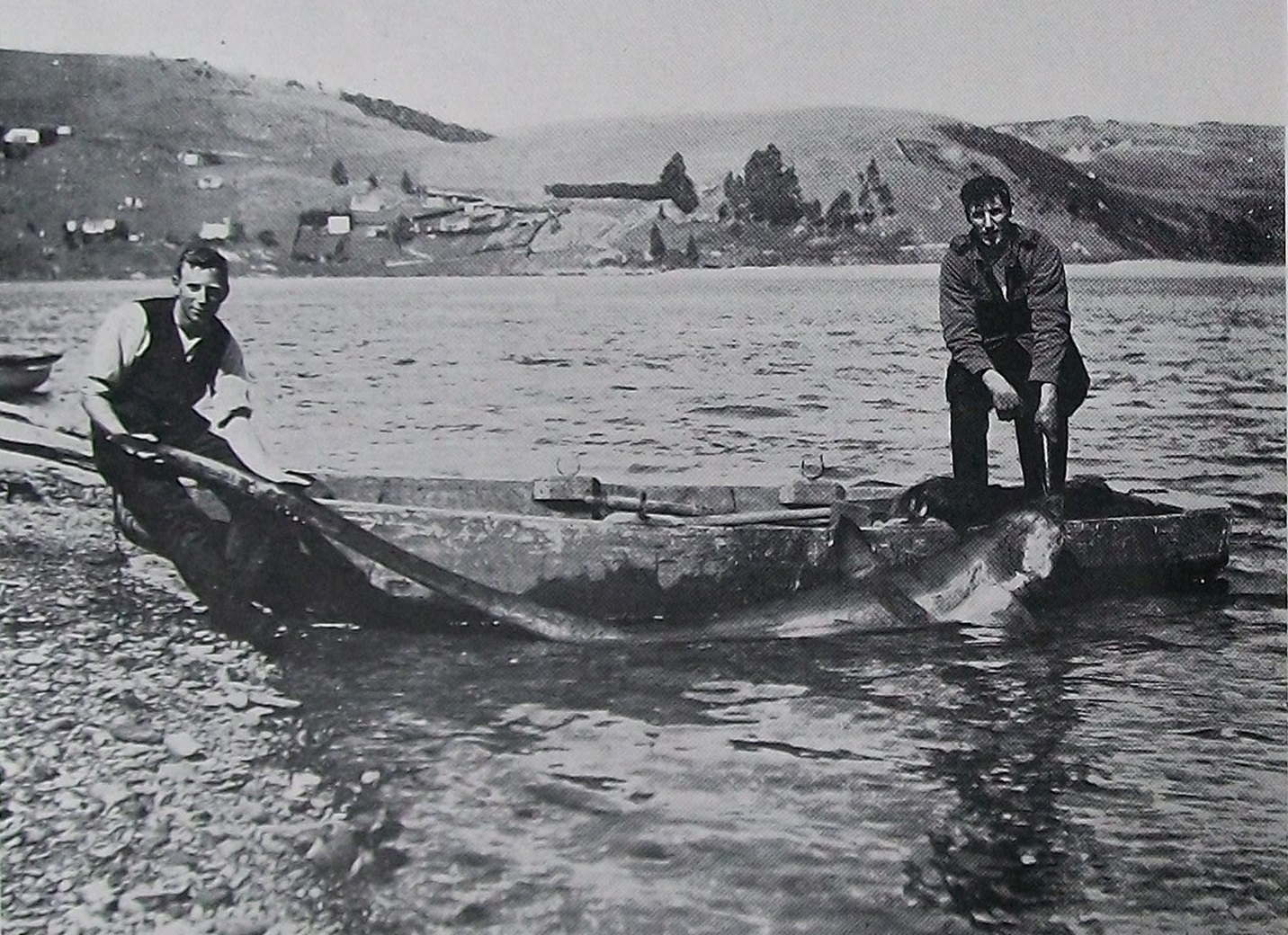 A 12-foot whip-tail shark, caught by Benjamin and Joseph Drake outside the Pūrākaunui bar. —...