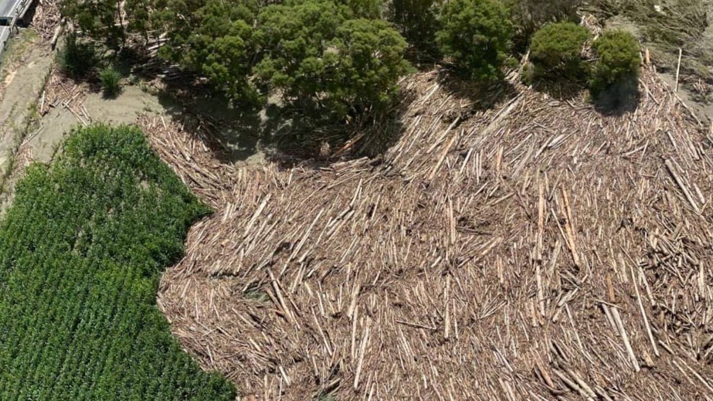 Slash, the downstream result of someone else’s light-handed regulation. Photo: The New Zealand...