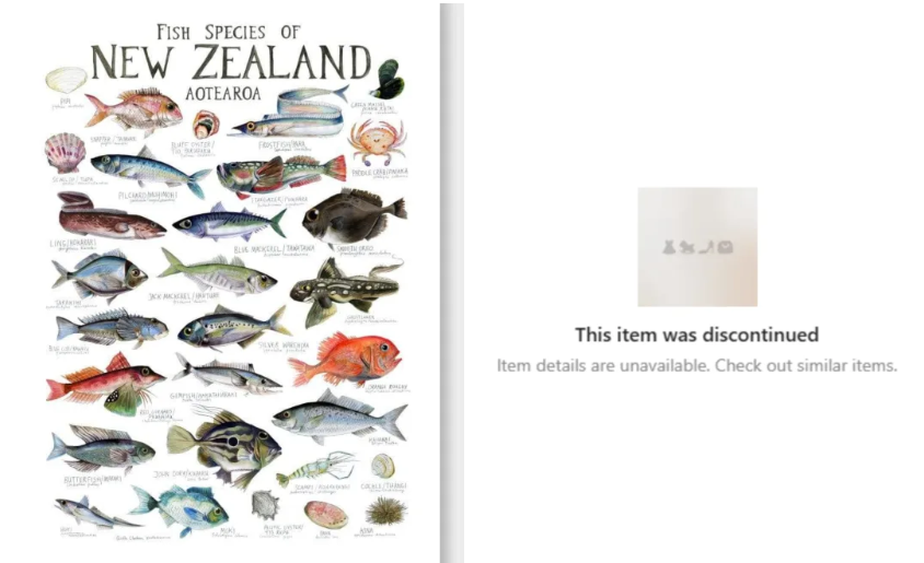 A copy of New Zealand artist Giselle Clarkson's Fish Species of New Zealand poster was being sold...