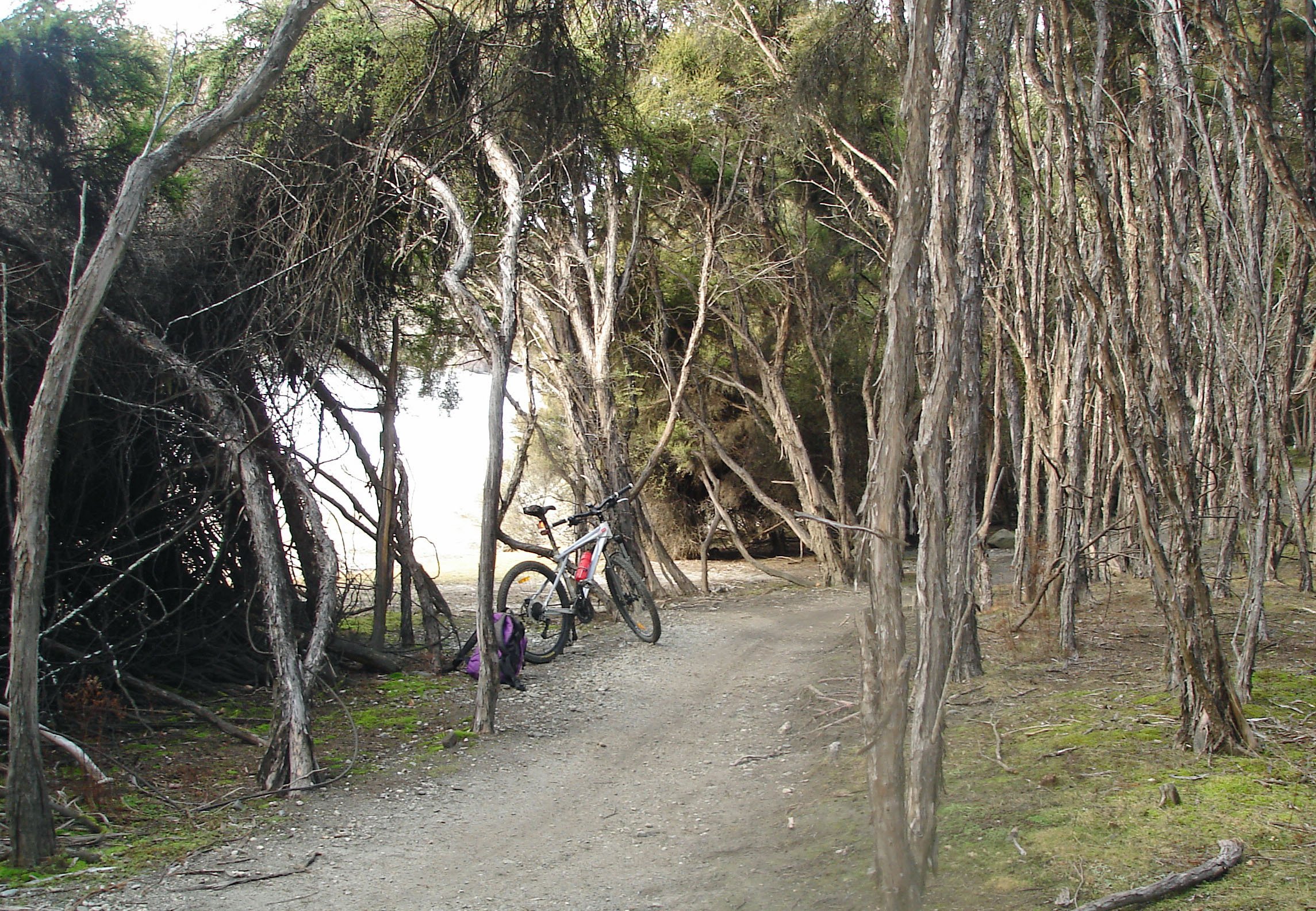 The Wānaka Outlet Track between Wānaka and Albert Town. PHOTO: JOHN FRIDD