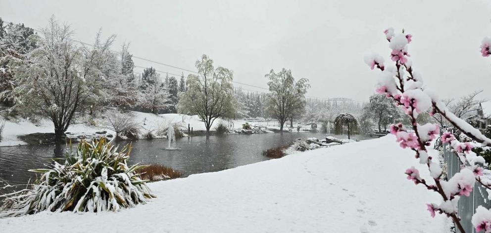 Snow in the Molyneux Estate subdivision on the edge of Alexandra. Photo: Linnet Julius