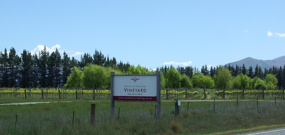 The helicopter crashed into this vineyard. Photo: supplied 