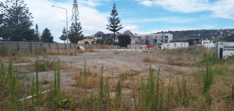 The 4186m2 site at the entrance to Sumner village as it looks today. Photo: Supplied