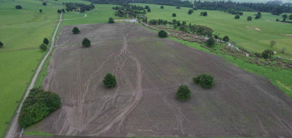 The crop damage on farmer Mark Tapley's property. Photo: Mark Tapley