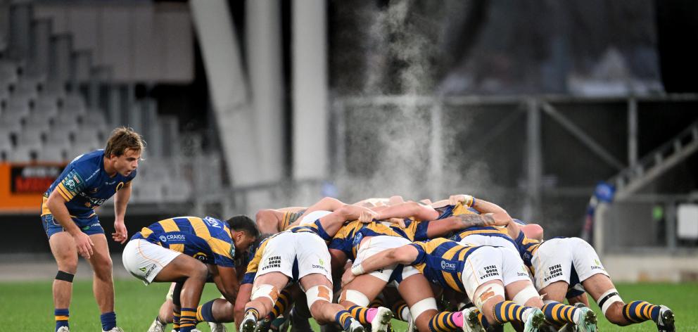 Otago halfback James Arscott looks on during a scrum.