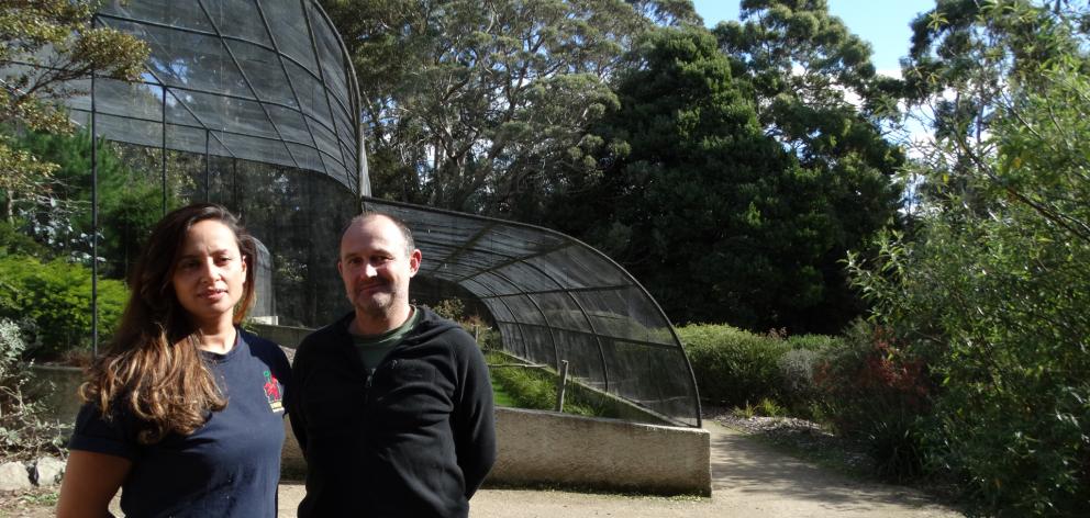 Dunedin Botanic Garden aviary curator Alisha Sherriff and Dunedin Wildlife Hospital Trust co...