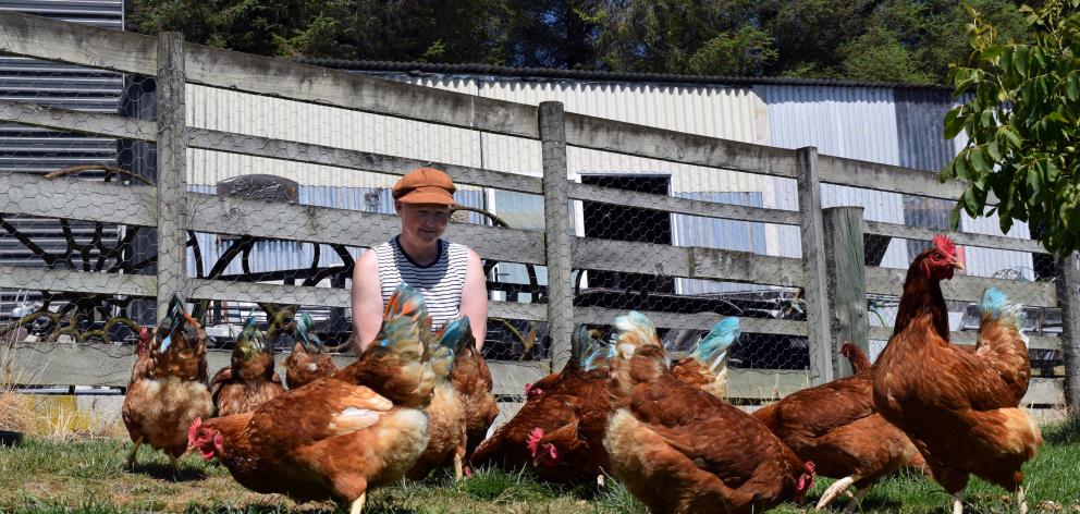 Pauline Rietveld, of Saddle Hill, feeds her flock of chickens. PHOTO: SHAWN MCAVINUE
...