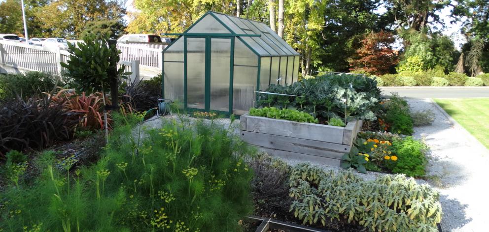 The compact herb and vegetable garden at Mercy Hospital contributes to its local food sources. Photo: Brenda Harwood