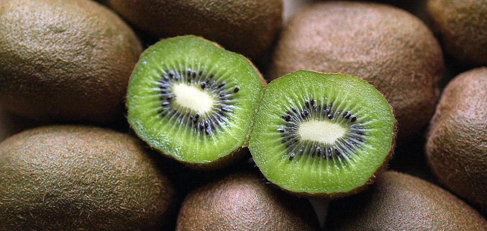 Kiwifruit features highly in successful horticultural exports. Photo: ODT.