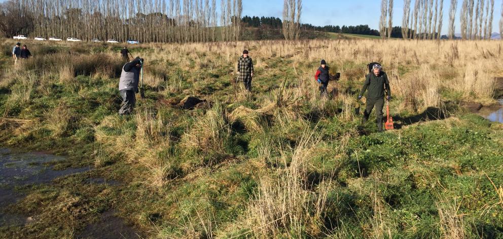 Fonterra staff and members of the Pomahaka Water Care Group spent several hours planting native...