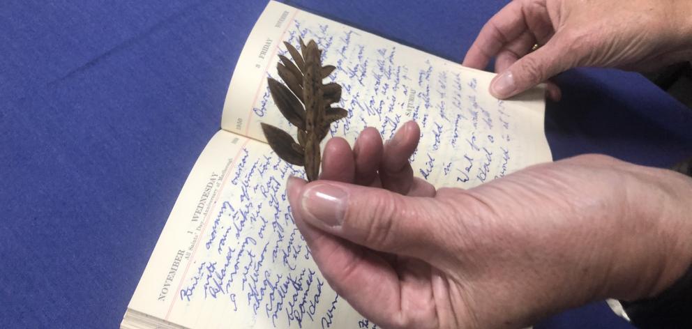 A leaf from ‘‘the loneliest tree in the world’’ found in Robert Stanley’s diary of his time on Campbell Island. PHOTO:KERRIE WATERWORTH