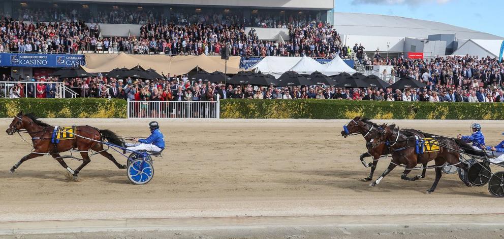 For the first time in 117 years, the public may be shut out of Canterbury's annual Cup and Show...