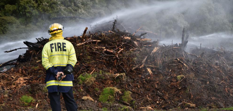 Firefighters dampen down trees at John McGlashan College this morning. PHOTO: PETER MCINTOSH
