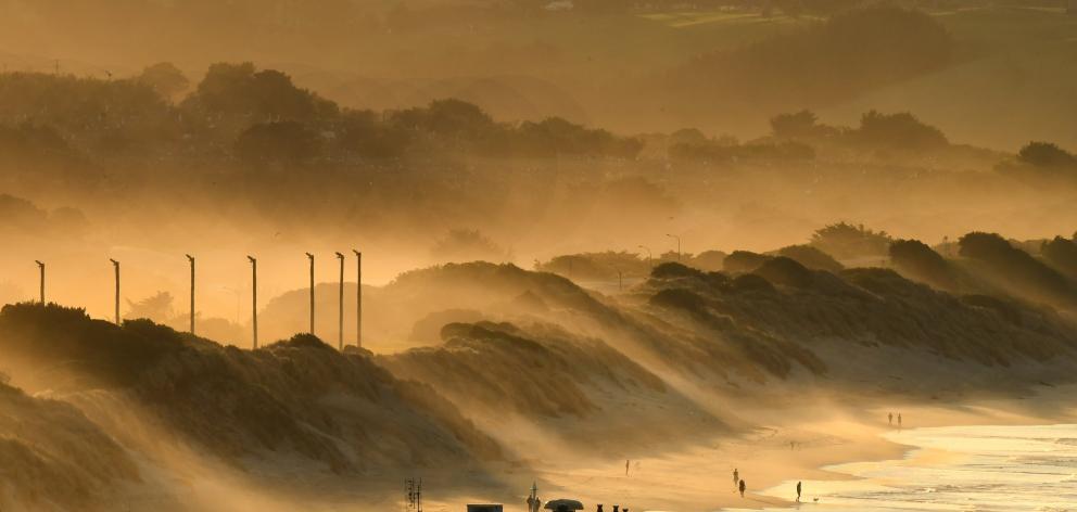 Early morning sunlight through sea mist at Middle Beach. Photo: Stephen Jaquiery