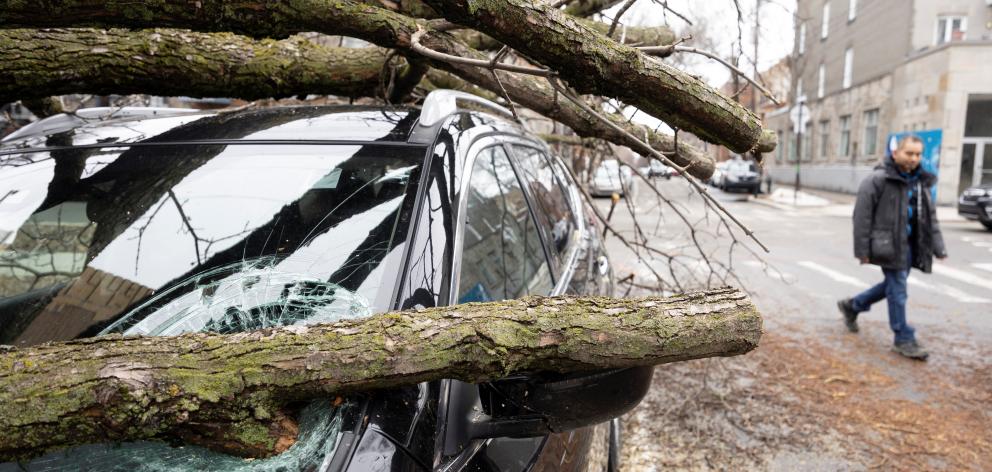 Fallen branches on a car, a day after freezing rain and strong winds cut power to Canada's two...