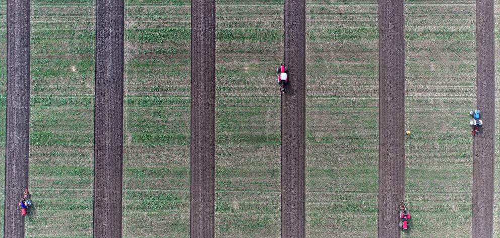 Competitors take part in the New Zealand Ploughing Championships in Milton yesterday. PHOTOS:...