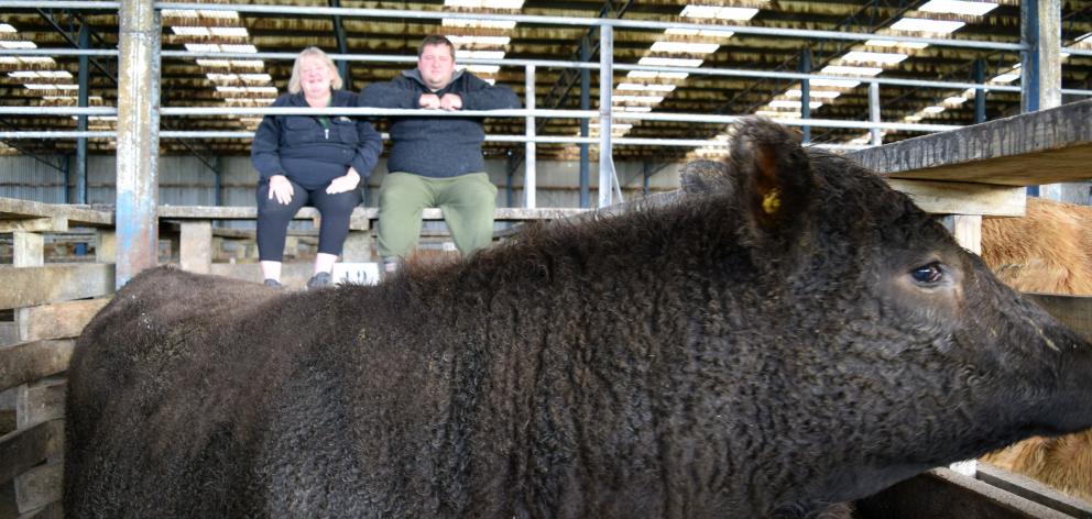 Carolyn and Brad McIntosh, of Otahu Flat, and their Murray Grey-Simmental cross heifer, won the...