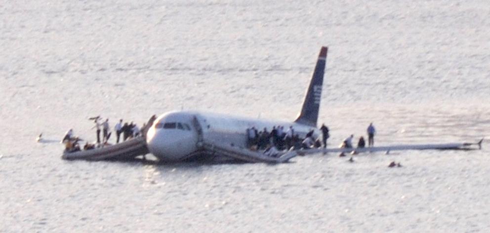 In 2009, Canada geese brought down a plane in New York. PHOTO: WIKIMEDIA COMMONS