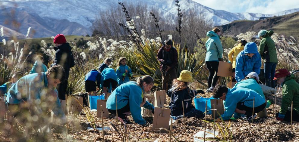 Shotover Primary School students get their hands dirty, to begin spring planting of native...