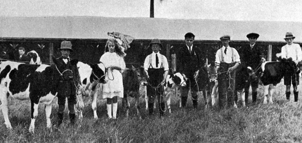 Children with their heifer calf entries at the North Otago A and P Show. — Otago Witness, 27.11.1923