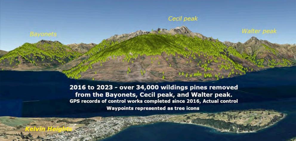 A predicted pine-clad future for Queenstown. GRAPHIC: SUPPLIED