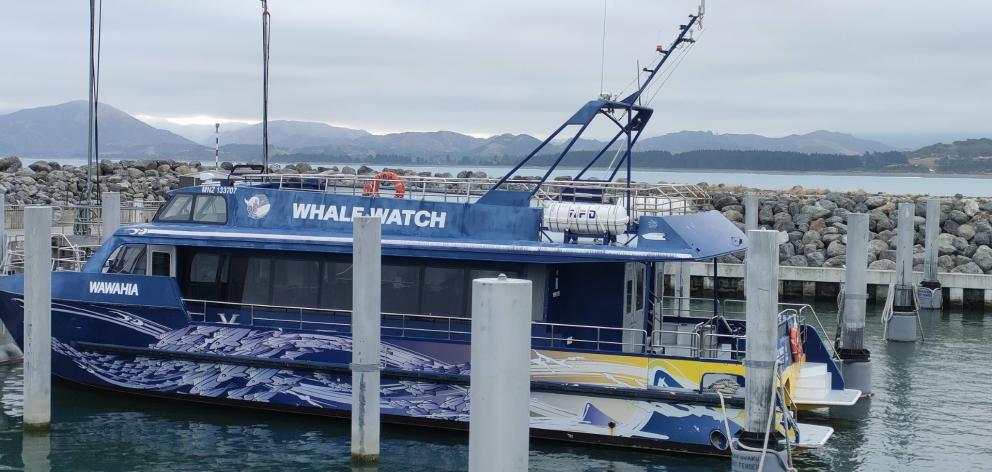 Whale Watch Kaikōura is recognised around the world. Photo: David Hill