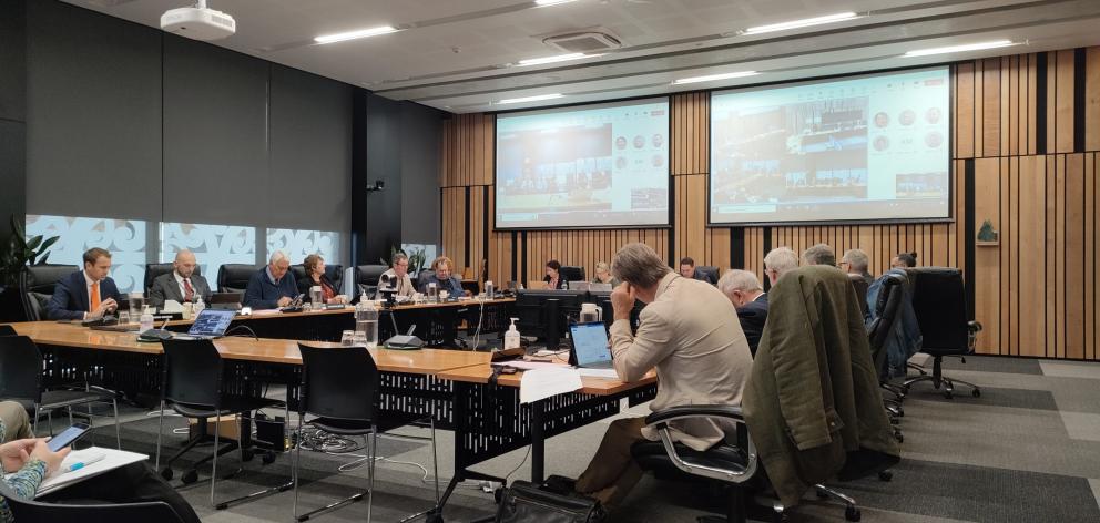 Environment Canterbury councillors expressed concerned decision local input and decision-making...