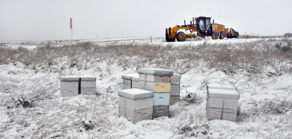 A grader clears snow from State Highway 87 between Lee Stream and Clarks Junction yesterday....