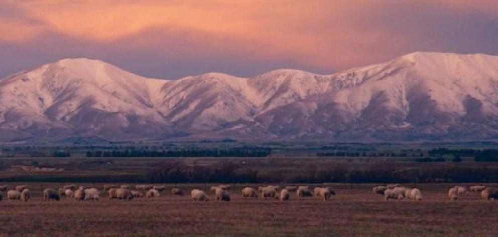 David Douglas' Dome Hills farm is in the Kakanui Range. Photo: File image / RNZ