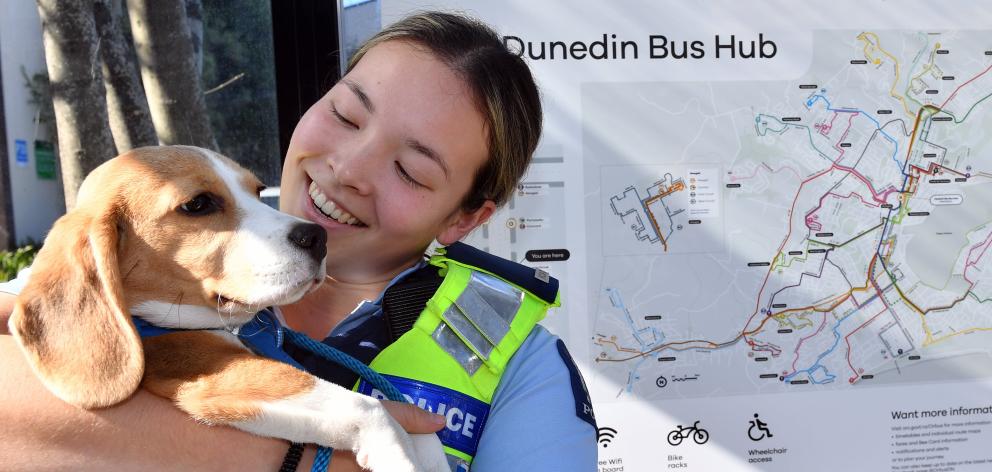 Murphy the 15-week-old beagle is loving life on duty, making new friends while patrolling the...