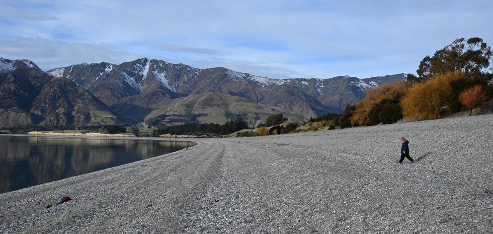 Playing on a very extended Lake Hāwea shoreline last month is Rupert Peterson, 3, of Lake Hāwea....