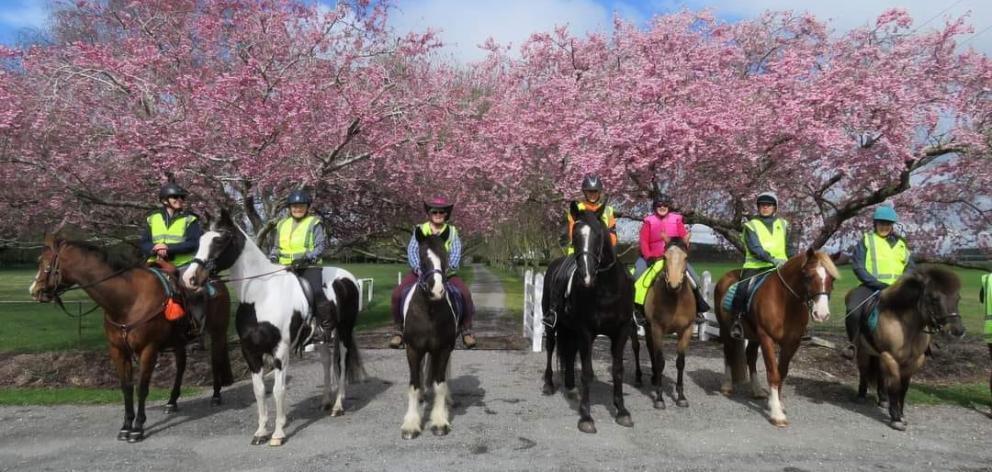 Waimakariri Riding Club members on their Pass Wide and Slow ride. Photo: Facebook