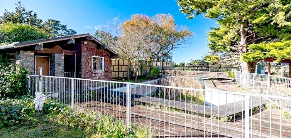 The in-ground pool has been decommissioned and was full of garden debris. Photo: Supplied