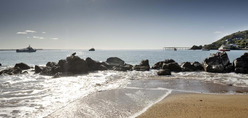 Moeraki. PHOTO: ODT FILES