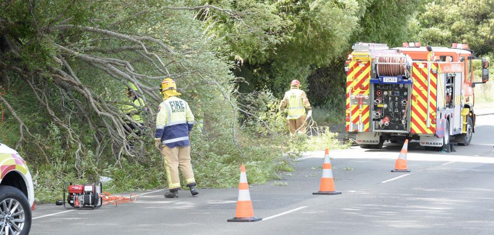 Fire crews clear part of a tree that fell on State Highway 88 late this afternoon. Photo: Gerard...