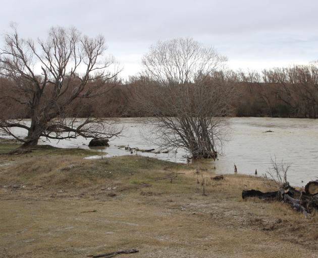 The flooded Manuherikia River bursts its banks at Ophir. Photo: Jono Edwards