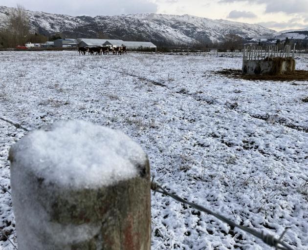 Snow in Earnscleugh this morning. Photo: Mary-Jo Tohill