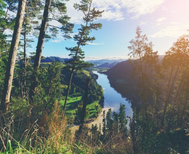 The Whanganui River. Photo: Getty Images 