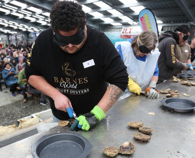 Competitors shuck oysters blindfolded during the 2018 Bluff Oyster & Food Festival.