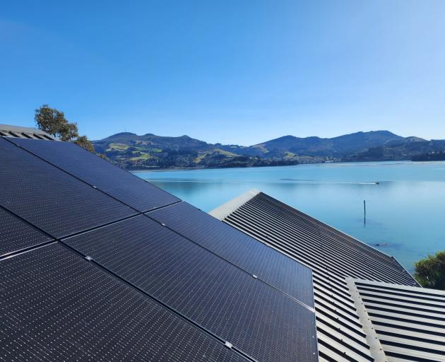 Harnessing the sun affordably 
and efficiently is behind 
Dunedin Solar’s success. 