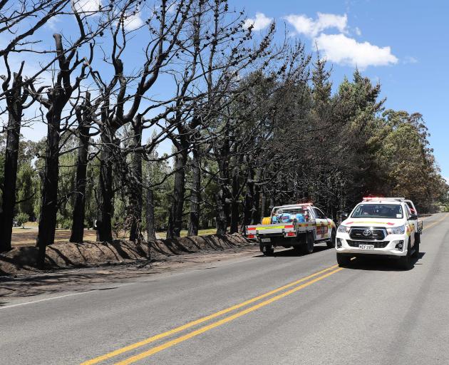 Crews search for hotspots  beside one of the many shelter belts of trees consumed by the Loburn...