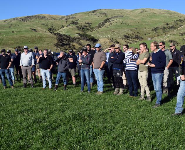 More than 120 people attended a Beef + Lamb field day on Awatere Station in Waikaia.