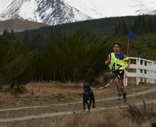 Sam Hughes and dog Maddi compete in a canicross event in Naseby. PHOTO: GARRICK CAMERON