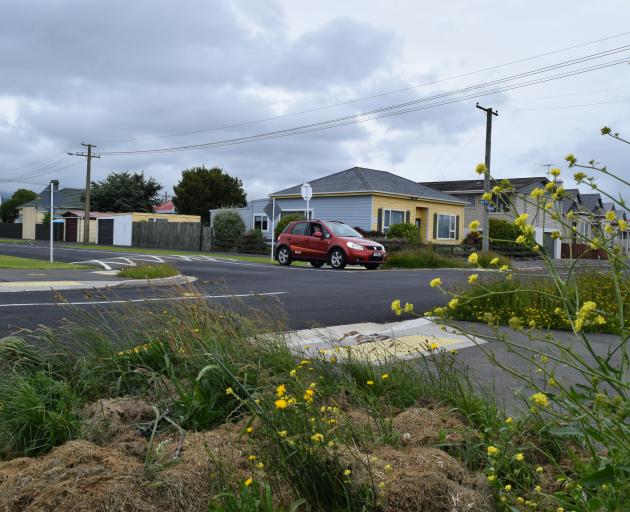 Overgrown berms on the corner of Bird and Bellona Sts in St Kilda on Tuesday.
