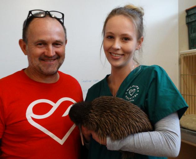 Wildlife Hospital Dunedin Trust chairman Steve  Walker and wildlife vet nurse Emily Brewer with a...