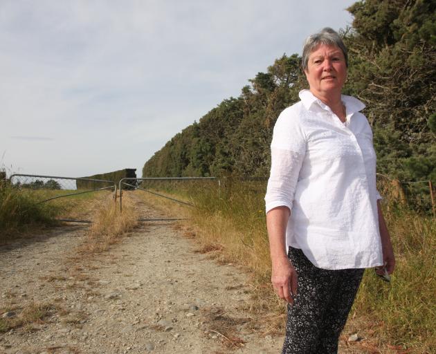 Upset Over Freedom Campers In Driveway Otago Daily Times Online News