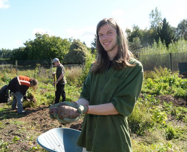 Otago Polytechnic student Luke Facer with potatoes fresh from the Kowhai Grove beds. Photo by Linda Robertson.